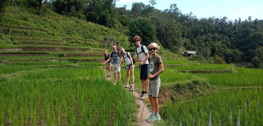 Chiang Mai: Elephant Sanctuary & Jungle Trek w/ Waterfall - What the driving and timing mean for you