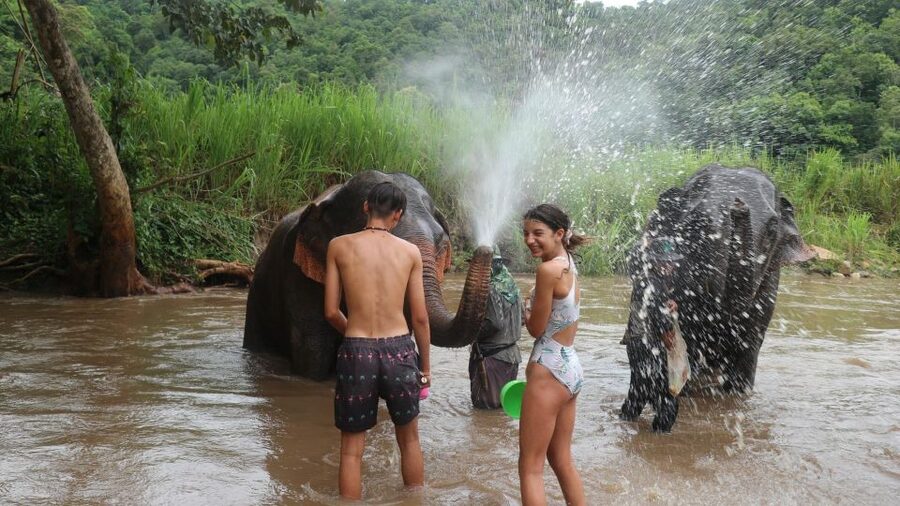 Chiang Mai: Elephant Sanctuary & Jungle Trek w/ Waterfall - Is $61 a fair price?
