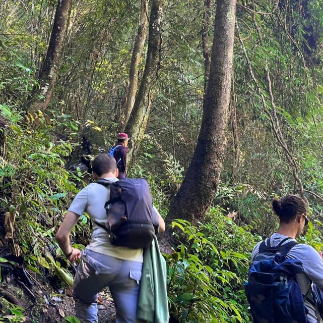 Chiang Mai: Elephant Sanctuary & Jungle Trek w/ Waterfall - What to pack for the Mae Wang day