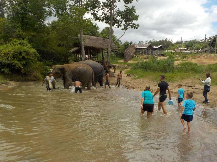 Chiang Mai: Elephant Sanctuary Local Hill Tribe Caretakers - What the $51 price covers