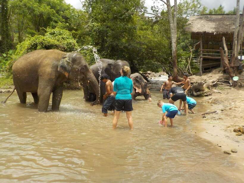 Chiang Mai: Elephant Sanctuary Local Hill Tribe Caretakers - Who will enjoy this outing most