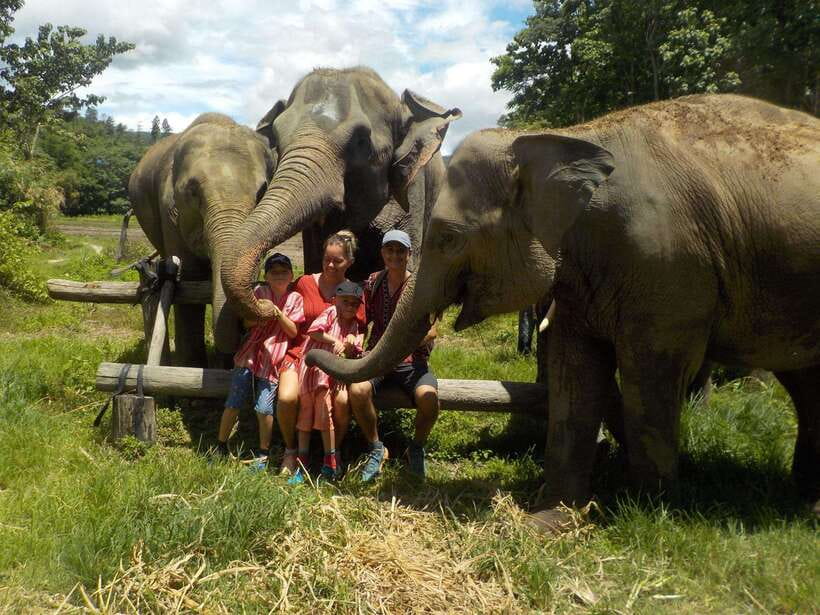 Chiang Mai: Elephant Sanctuary Local Hill Tribe Caretakers - A Thai lunch in a quiet setting