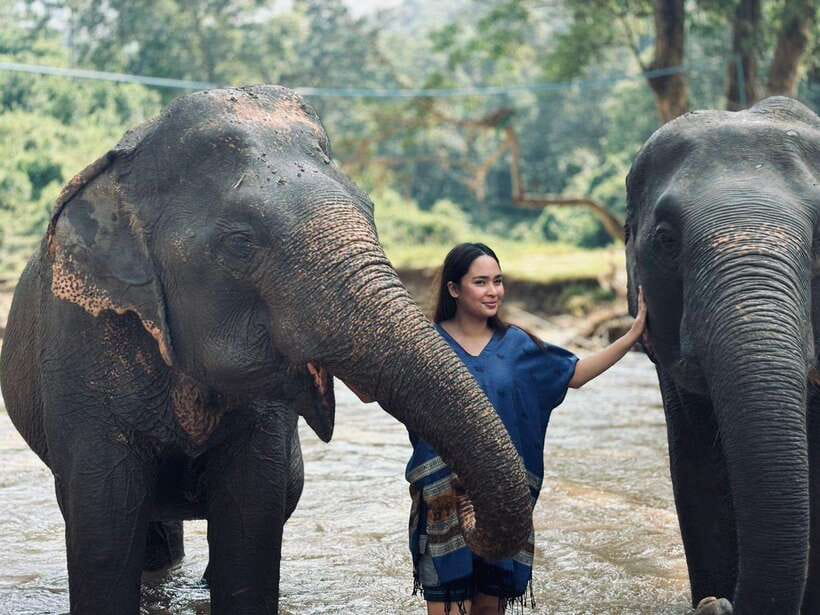 Chiang Mai: Elephant Sanctuary, Long Neck & Sticky Waterfall - Why this Chiang Mai day trip works