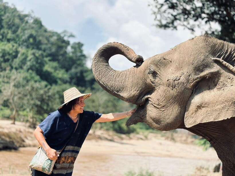 Chiang Mai: Elephant Sanctuary, Long Neck & Sticky Waterfall - Preparing herbal treats for the elephants
