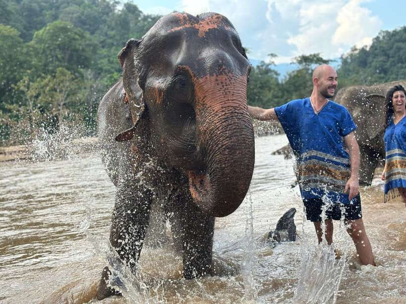 Chiang Mai: Elephant Sanctuary, Long Neck & Sticky Waterfall - Meeting the Karen long-neck community