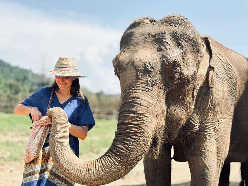 Chiang Mai: Elephant Sanctuary, Long Neck & Sticky Waterfall - What the $63 price really buys you
