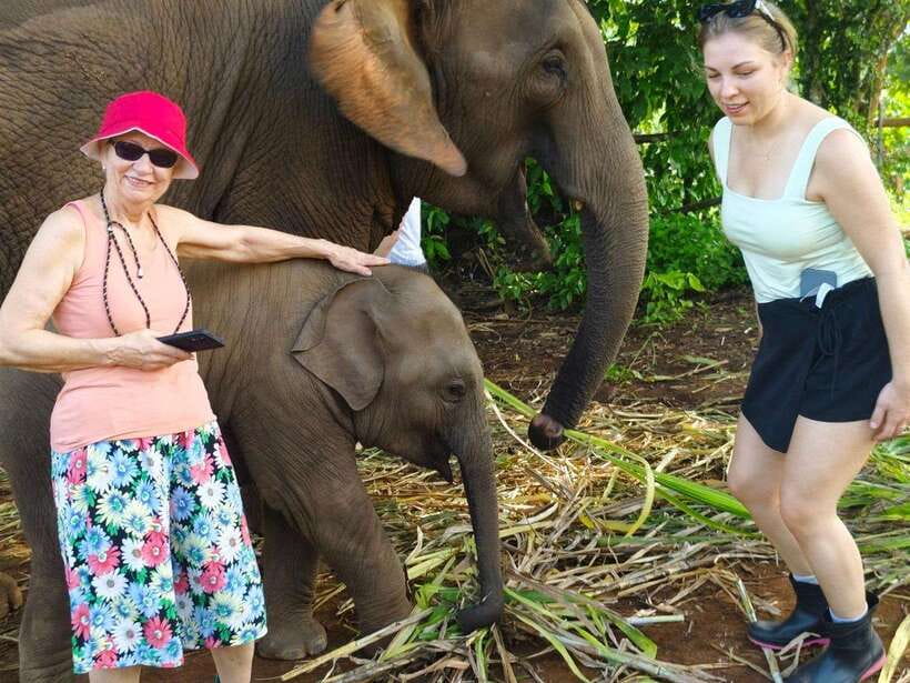 Chiang Mai: Elephant Sanctuary, Monk Trail & Doi Suthep Tour - Why this Chiang Mai day works so well