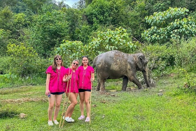 Chiang Mai Elephant Sanctuary Observation and Bamboo Rafting - A jungle walk at the elephants’ pace