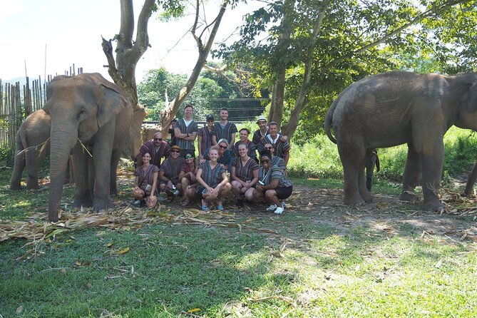 Chiang Mai Elephant Sanctuary Small Group Ethical Tour - Learning Before Feeding