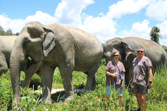 Chiang Mai Elephant Sanctuary Small Group Ethical Tour - Rainforest Views and Time to Observe