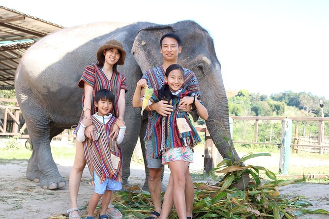 Chiang Mai Elephant Sanctuary Small Group Ethical Tour - Is $90 Good Value?