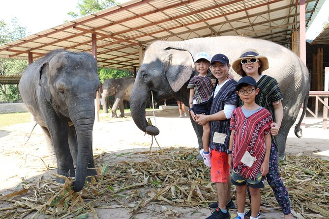 Chiang Mai Elephant Sanctuary Small Group Ethical Tour - Who Will Get the Most from This Visit?