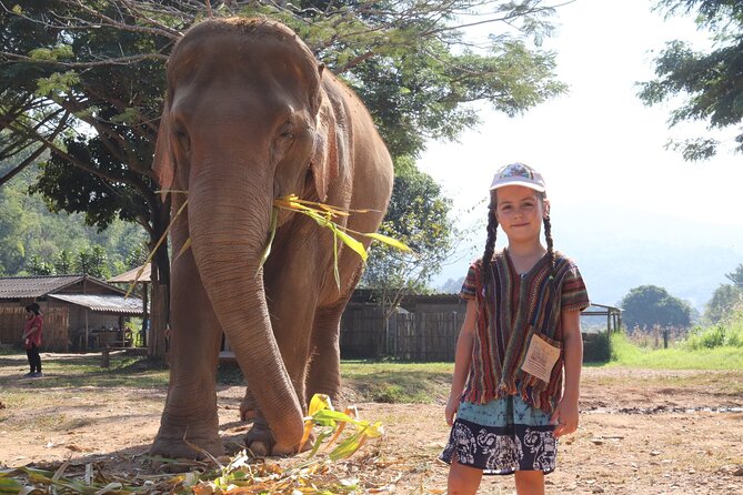 Chiang Mai Elephant Sanctuary Small Group Ethical Tour - Booking, Timing, and Cancellation