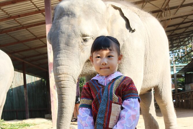 Chiang Mai Elephant Sanctuary Small Group Ethical Tour - A Shared Pickup from Chiang Mai