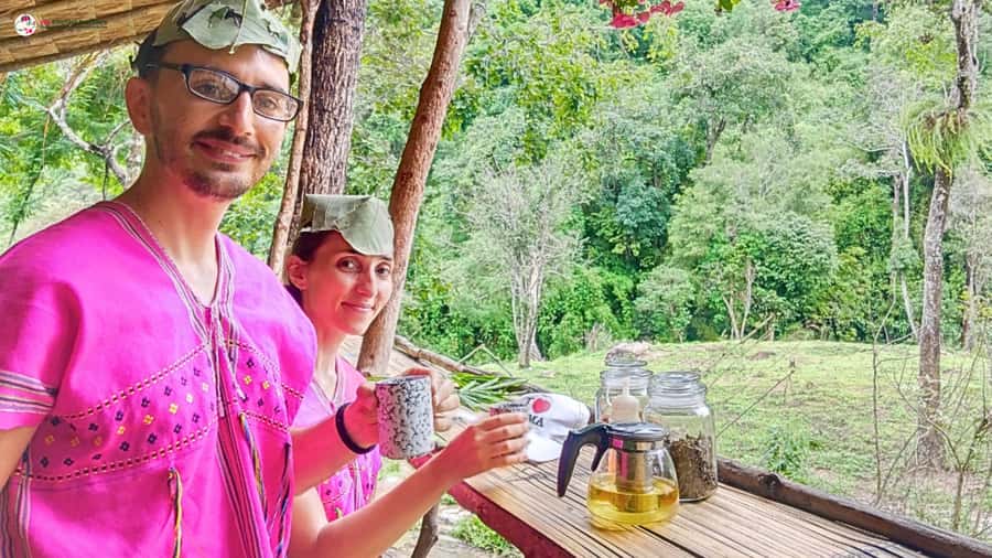 Chiang Mai: Elephant Sanctuary & Suthep Temple Sunrise View - Booking details worth checking before you commit