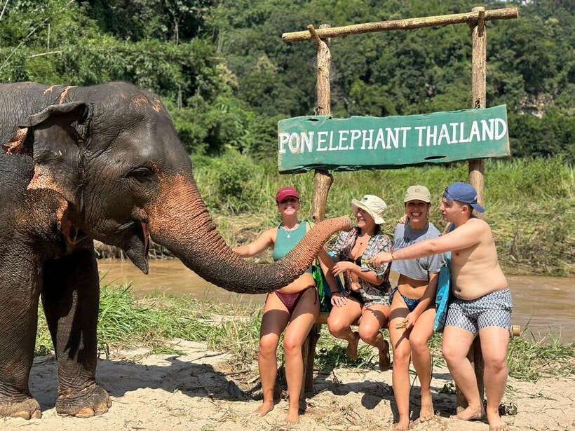 Chiang Mai: Elephant Sanctuary, Waterfall & Bamboo Rafting - From Chiang Mai to the Mae Wang foothills