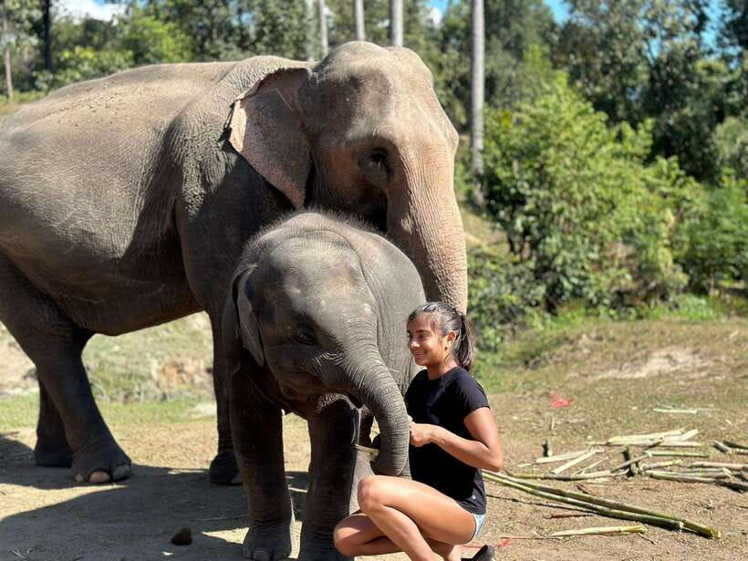 Chiang Mai: Elephant Sanctuary, Waterfall & Bamboo Rafting - Bathing and feeding by the river