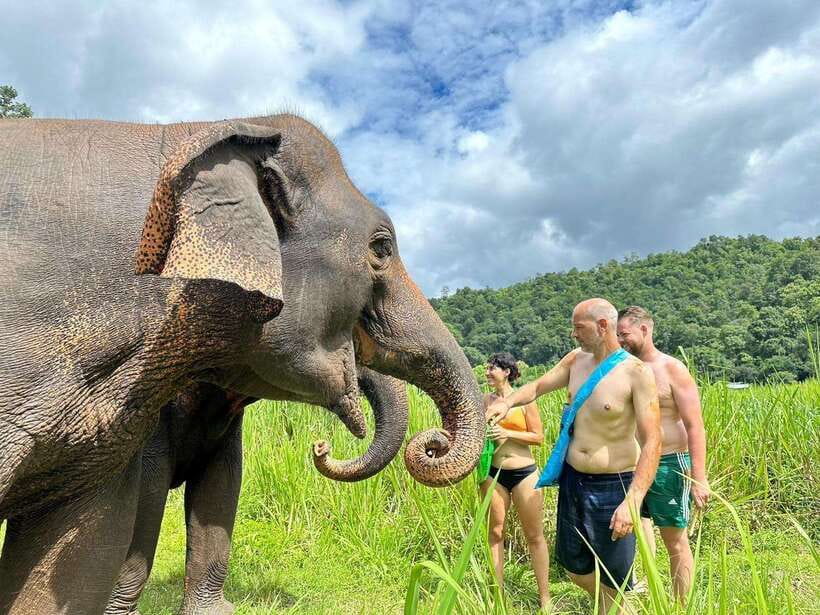Chiang Mai: Elephant Sanctuary, Waterfall & Bamboo Rafting - Who will enjoy this Chiang Mai day most