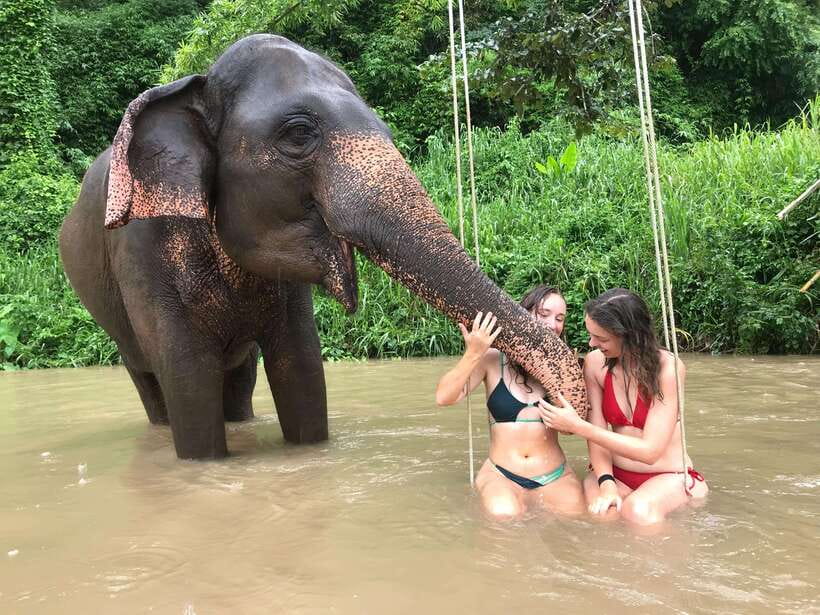 Chiang Mai: Elephant Sanctuary & Waterfall Group Tour - Why the elephant encounter feels different