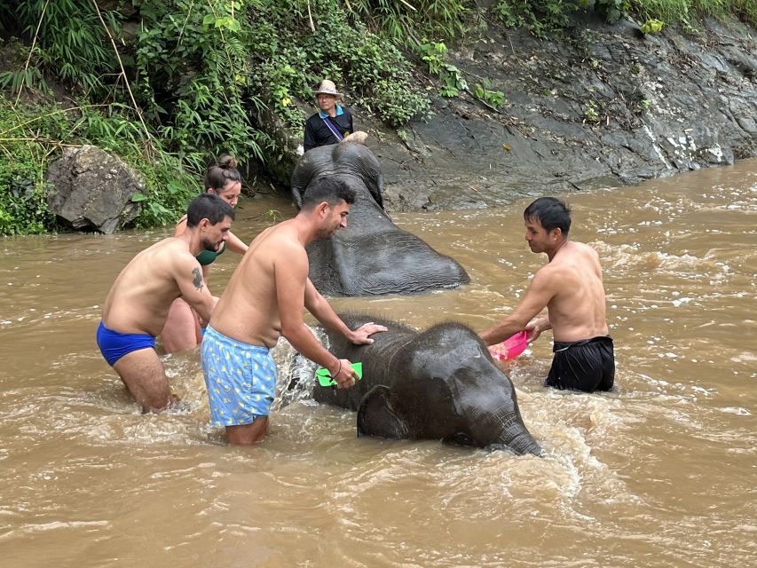 Chiang Mai: Elephant Sanctuary & Waterfall Group Tour - Thai lunch, fruit, and a slower pause