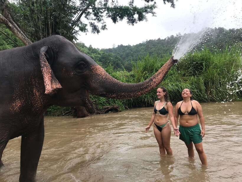Chiang Mai: Elephant Sanctuary & Waterfall Group Tour - Hiking to Mae Wang Waterfall