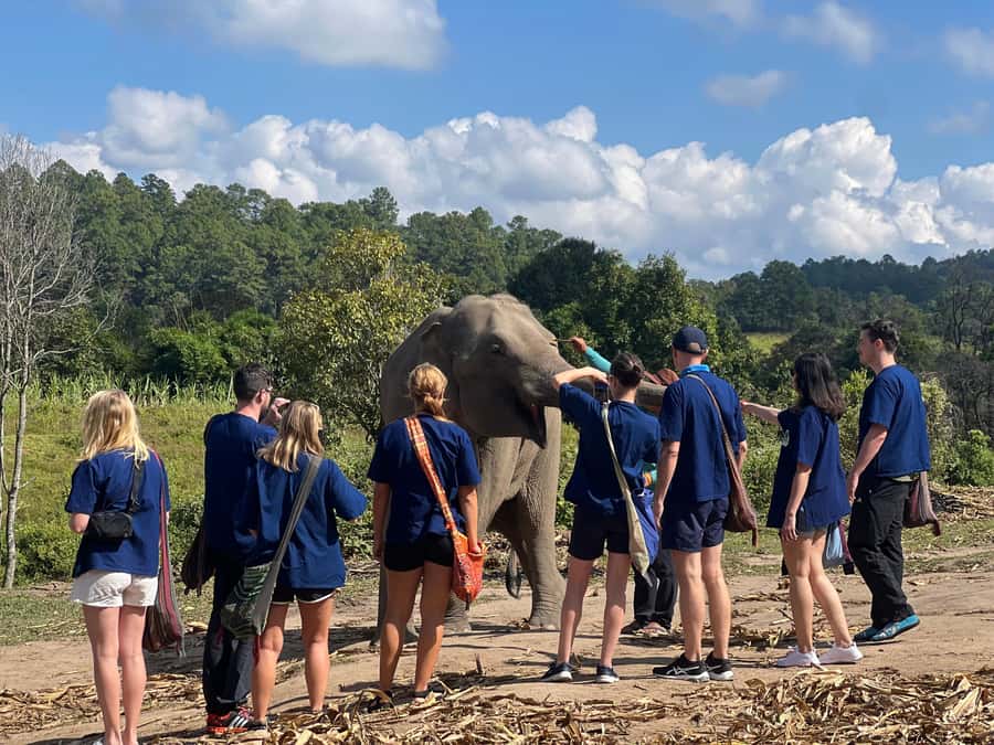 Chiang Mai : Ethical Elephant Sanctuary and ATV Adventure - What to pack for comfort