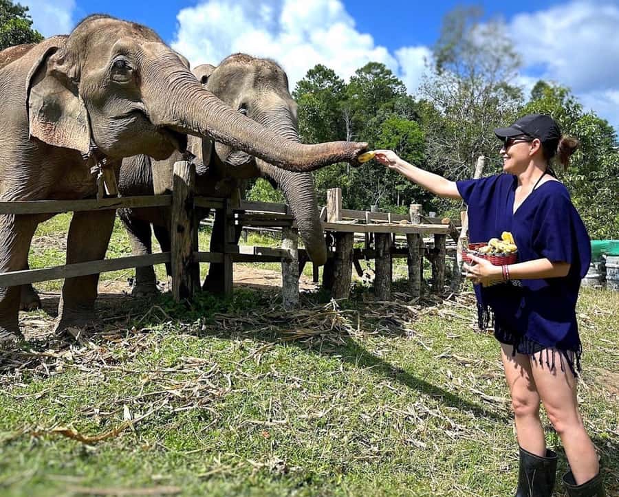Chiang Mai : Ethical Elephant Sanctuary and ATV Adventure - A rural start outside Chiang Mai