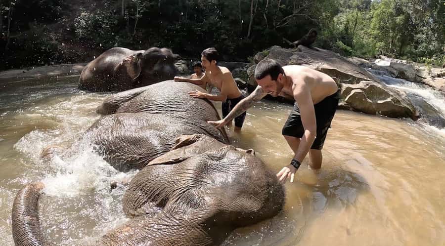 Chiang Mai : Ethical Elephant Sanctuary and ATV Adventure - Why the sanctuary can feel crowded