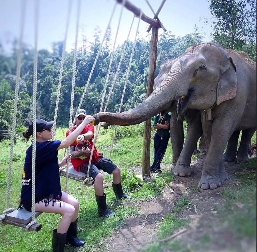 Chiang Mai : Ethical Elephant Sanctuary and ATV Adventure - Lunch with a local flavor