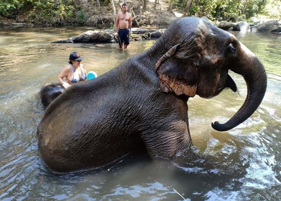 Chiang Mai : Ethical Elephant Sanctuary and ATV Adventure - The ATV ride through Inthanon Paradise