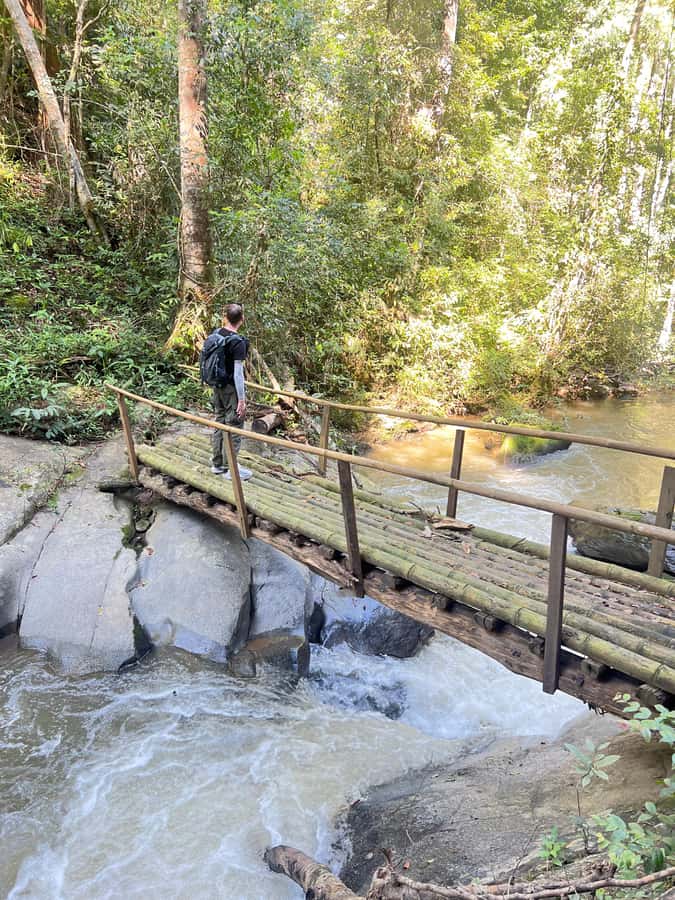 Chiang Mai : Ethical Elephant Sanctuary and ATV Adventure - How the two halves work together