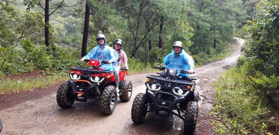 Chiang Mai : Ethical Elephant Sanctuary and ATV Adventure - Who should book this day