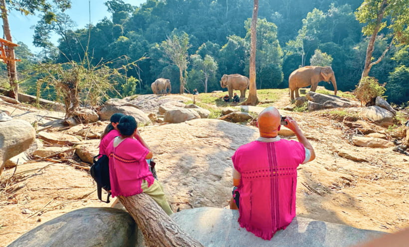 Chiang Mai: Ethical Half Day Elephant Sanctuary & Waterfall - A waterfall break, with a clear boundary