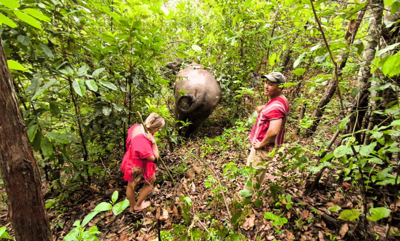 Chiang Mai: Ethical Half Day Elephant Sanctuary & Waterfall - Practical packing advice for the jungle and water