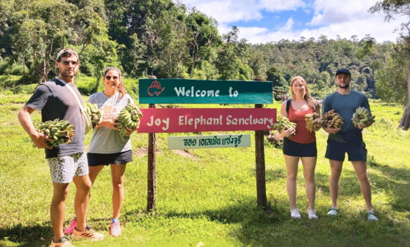 Chiang Mai: Ethical Half Day Elephant Sanctuary & Waterfall - Meeting the elephants without touching them