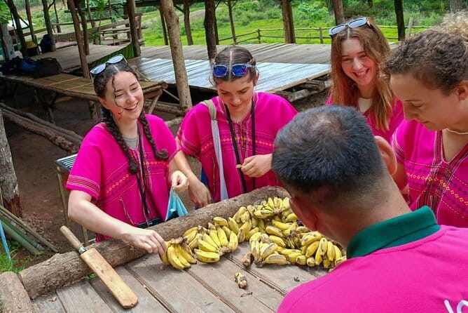 Chiang Mai Half Day Elephant Sanctuary Observation and Waterfall - Meeting Elephants Without Rides or Bathing
