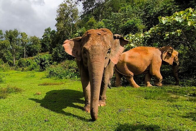 Chiang Mai Half Day Elephant Sanctuary Observation and Waterfall - A Simple Lunch and a Thai Craft