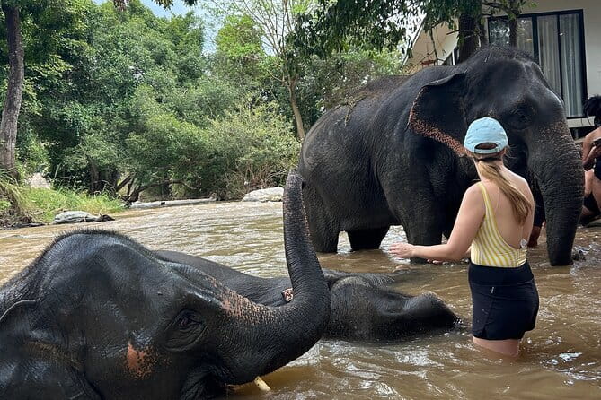 Chiang Mai Half Day Elephant Sanctuary Observation and Waterfall - Who Will Enjoy This Outing Most