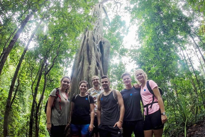 Chiang Mai: Inthanon, Elephant Sanctuary Observation & Waterfall - Who should book this day trip