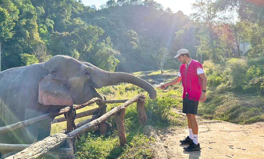 Chiang Mai: Inthanon, Ethical Elephant Sanctuary & Waterfall - Who should book this day?