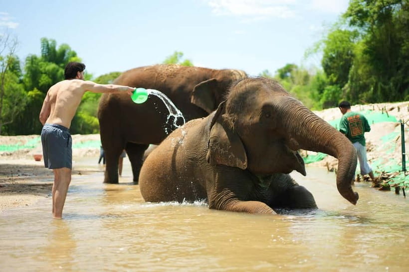 Chiang Mai: Jungle Jumbo Elephant Sanctuary with Waterfall - Key points at a glance