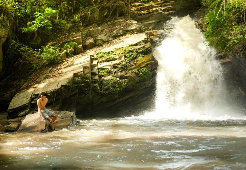 Chiang Mai: Jungle Jumbo Elephant Sanctuary with Waterfall - Walking through jungle to the waterfall