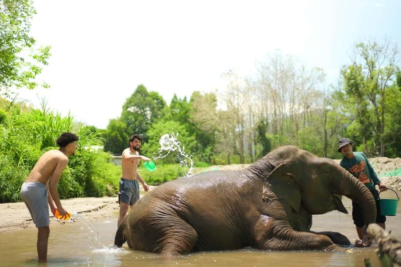 Chiang Mai: Jungle Jumbo Elephant Sanctuary with Waterfall - Bathing the elephants, with practical limits