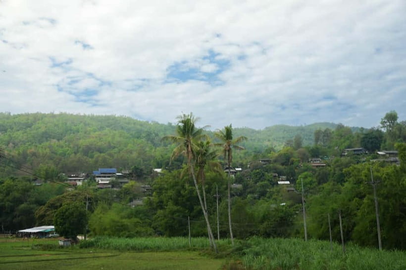 Chiang Mai: Jungle Jumbo Elephant Sanctuary with Waterfall - Price, group size, and value