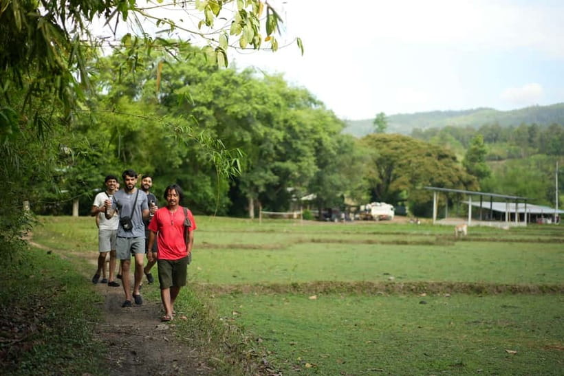 Chiang Mai: Jungle Jumbo Elephant Sanctuary with Waterfall - Who should book this Chiang Mai elephant tour