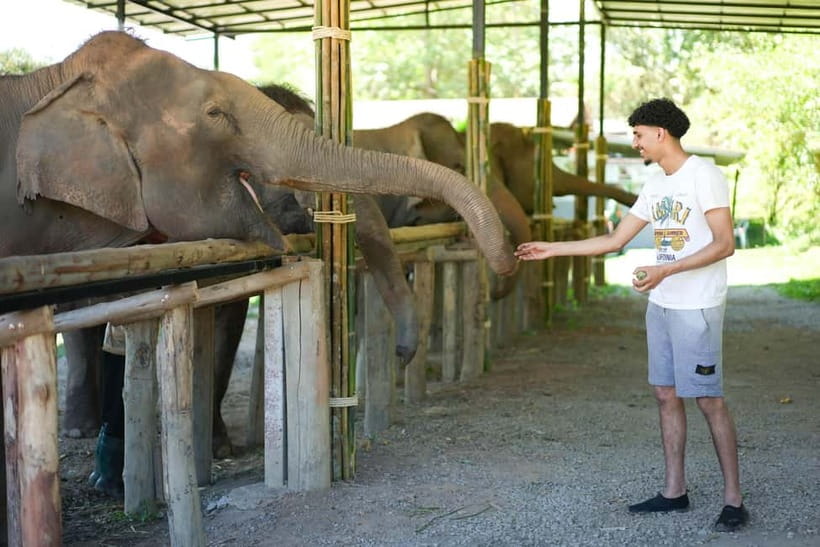 Chiang Mai: Jungle Jumbo Elephant Sanctuary with Waterfall - Starting in a traditional Thai village