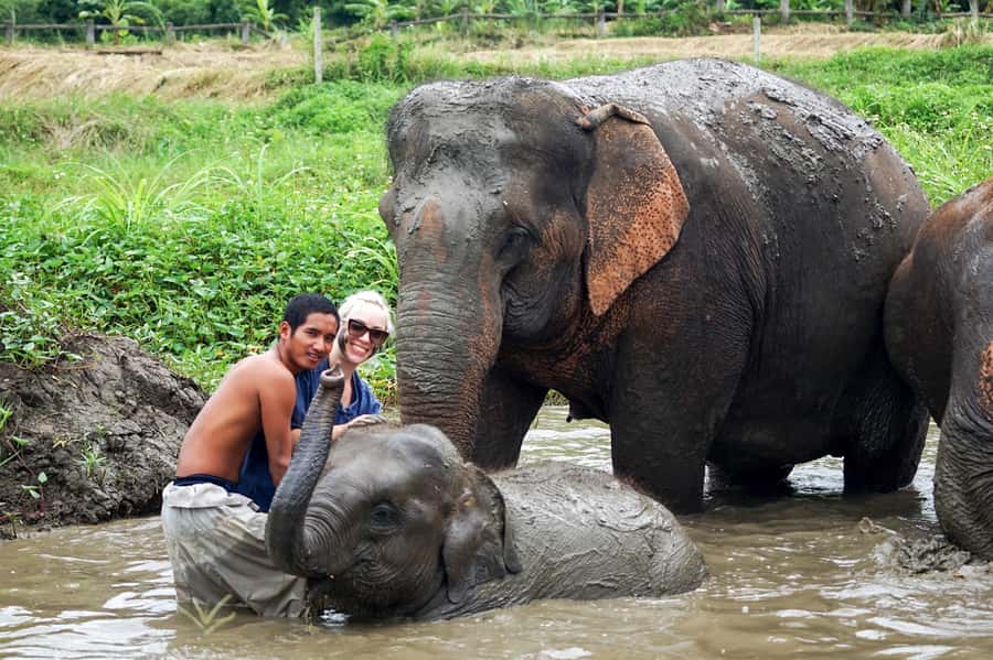 Chiang Mai: Small Group Ethical Elephant Sanctuary Tour - Who will enjoy this Chiang Mai elephant tour