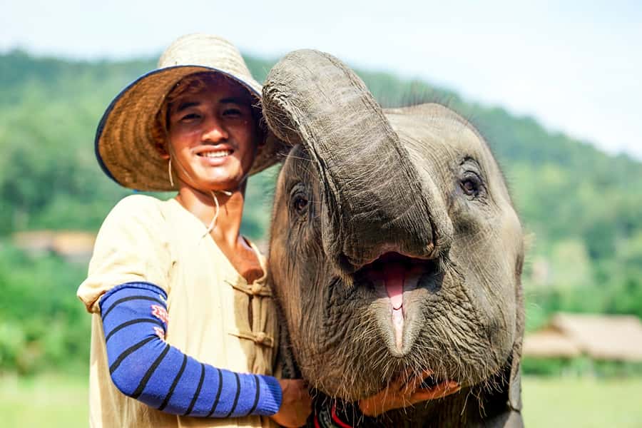 Chiang Mai: Small Group Ethical Elephant Sanctuary Tour - Meeting rescued elephants in a quiet mountain setting