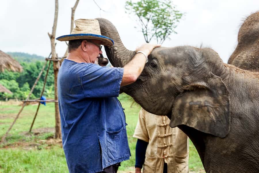 Chiang Mai: Small Group Ethical Elephant Sanctuary Tour - Transport, timing, and what the $77 price covers