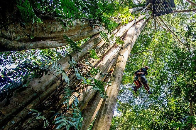 Chiang Mai Zipline White Water Rafting and Elephant Sanctuary - The one-hour drive to the elephant sanctuary